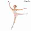 Sansha Aida G508M Balletpak Zalmroze