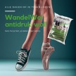 WandelWol Antidruk Schapenwol Teenbescherming 10 gram