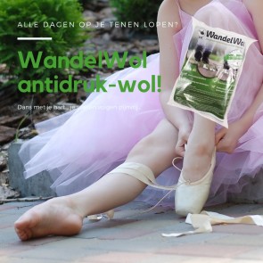 WandelWol Antidruk Schapenwol Teenbescherming 10 gram