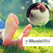 WandelWol Antidruk Schapenwol Teenbescherming 10 gram