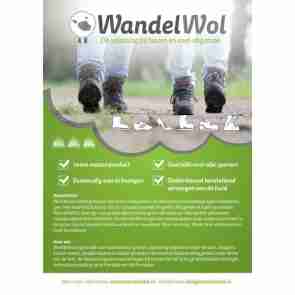 WandelWol Antidruk Schapenwol Teenbescherming - 10 gram