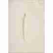 Urban Classics TB4563 Dames Cargo-joggingbroek met Hoge Taille wit zak