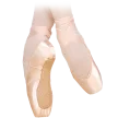 Grishko 0501 Fouette Spitzen Shank
